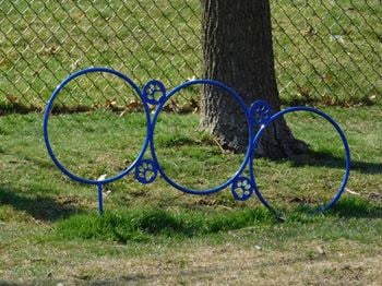 Bark park